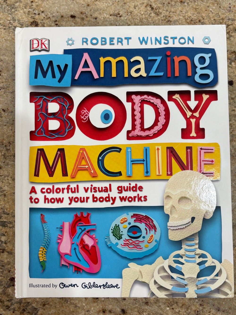 NEW My Amazing Body Machine: A Colorful Visual Guide to How Your Body Works
